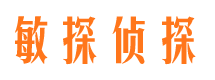 两当侦探公司